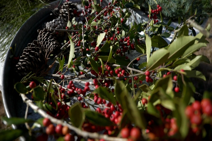 How to make your own Christmas wreath